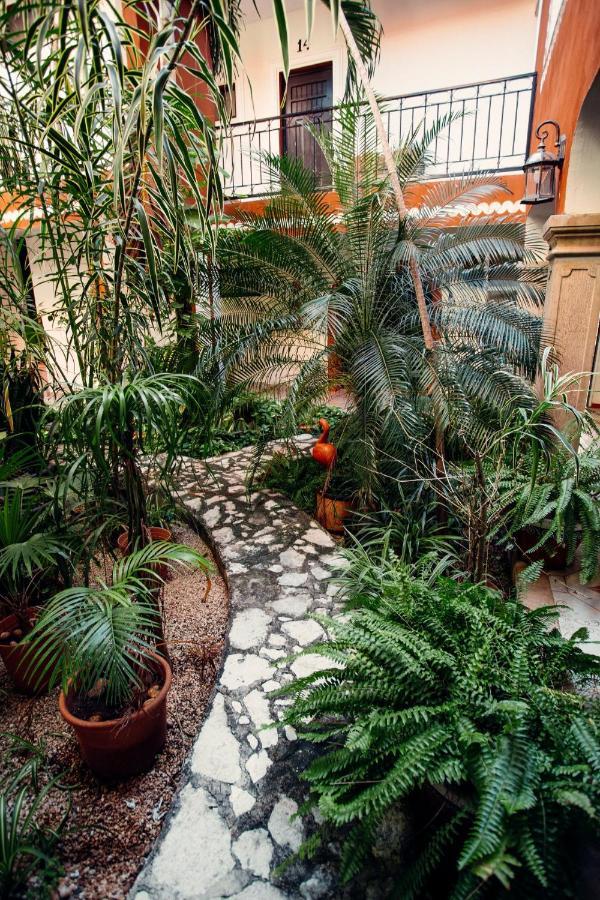 Hotel Quinta Marciala Mx Valladolid  Exteriér fotografie